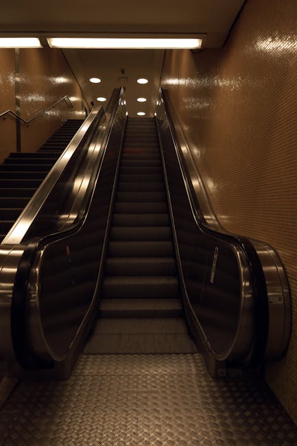 Inside a modern building with a metallic and glass structure, two individuals are seen ascending an escalator, viewed from the bottom. One person is wearing a beige coat, black pants, and red sneakers, while the other wears a green jacket with a hood, beige trousers, and brown shoes. The escalator is located adjacent to a polished black wall on the left side, and the ceiling above is illuminated with bright lighting, creating a well-lit environment. The surrounding environment suggests an urban setting, possibly a train station or commercial building, associated with house removals and relocation logistics. This image depicts the process of moving or travelling within a city, supporting professional moving services such as those offered by Man with Van Rotherhithe, especially in contexts involving stairs or lifts for home or furniture transport.