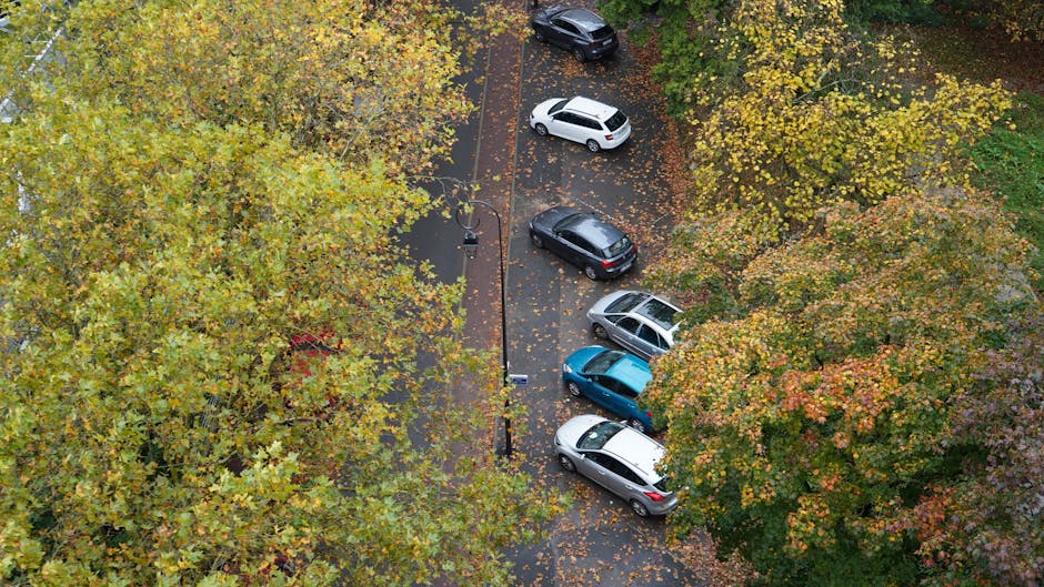 An aerial view of a small parking area adjacent to a residential property, with several parked cars including a white hatchback, a grey sedan, a dark blue hatchback, and a black vehicle, surrounded by trees with green, yellow, and orange foliage. Fallen leaves cover parts of the asphalt surface. The driveway is partially within the shade of the trees, and a black lamppost is positioned near the centre of the image. The area appears to be in a neighbourhood of Rotherhithe, with autumn scenery providing a natural backdrop. This scene illustrates typical challenges of home relocation and furniture transport in a suburban setting, where parked vehicles can impact loading processes for a man with van service at [DOMAIN], particularly if double parking fines are a concern during moves, as noted in the page about double parking fines during relocations.